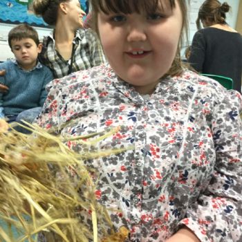 harvest 2017 (28)